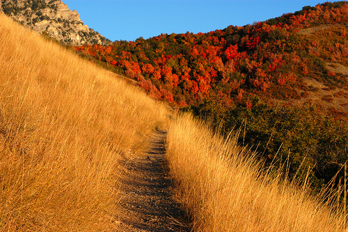 Provo Canyon