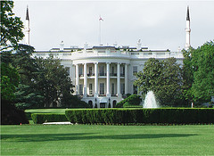 white house