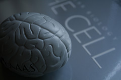 954701212_8f4451f1d4_m