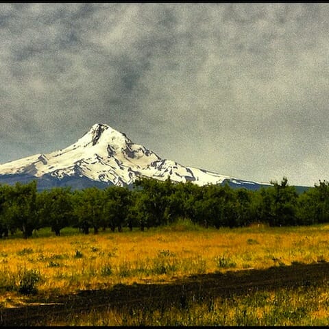 Mt Hood