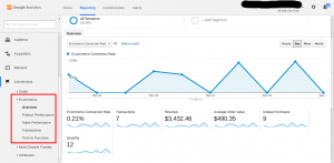 Ecommerce-Overview-Google-Analytics