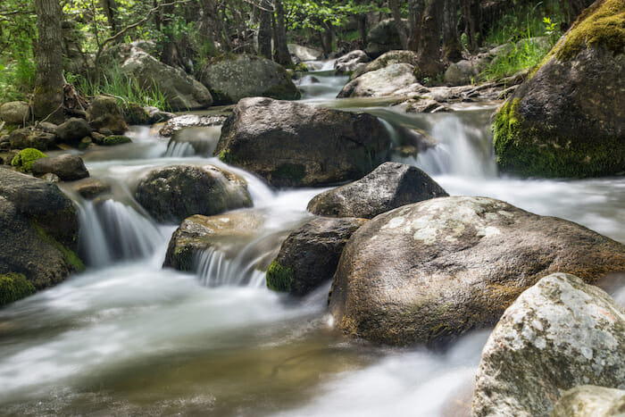 Nature landscape with trees and river